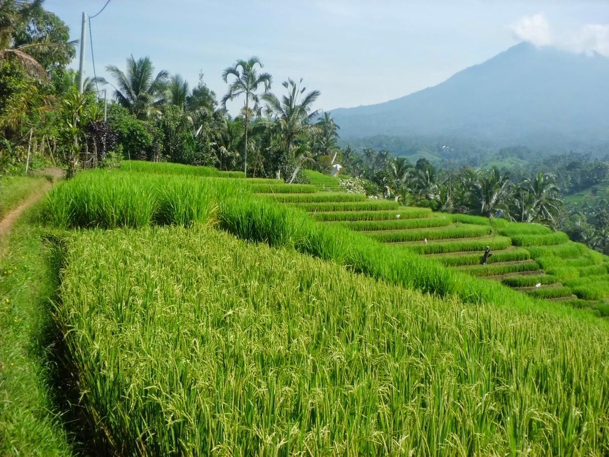Zen Rooms Kuta Tuban Suites Εξωτερικό φωτογραφία